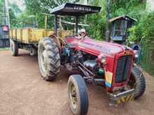 Massey-Ferguson Massey 1961 Tractor