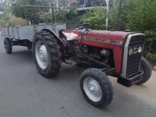 Massey-Ferguson Tractor 240 1981 Tractor