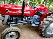 Massey-Ferguson Tractor 1984 Tractor