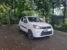 Suzuki Alto 800 2019 Car