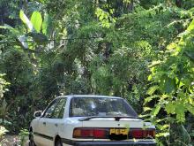 Mazda Bg5p 1990 Car