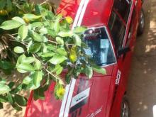 https://riyasewana.com/uploads/mazda-mazda-familia-1995-26924421279281.jpg