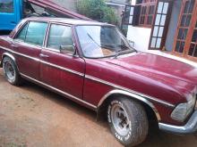 Mercedes-Benz 220 1980 Car