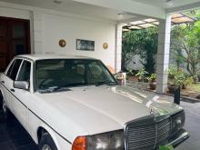 Mercedes-Benz W123 1980 Car