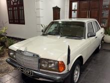 Mercedes-Benz W123 1980 Car