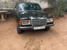 Mercedes-Benz W123 240D 1983 Car