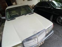 Mercedes-Benz W123 1980 Car