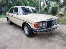 Mercedes-Benz W123 1979 Car