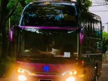 Micro GOLDEN DRAGON TRIUMPH 2019 Bus