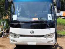Micro Golden Dragon 2021 Bus