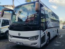 Micro Golden Dragon 2026 Bus