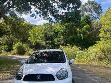 Micro Panda Cross 2013 Car