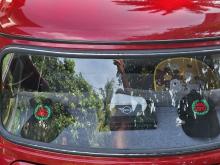 https://riyasewana.com/uploads/mini-mini-auto-307244317375.jpg