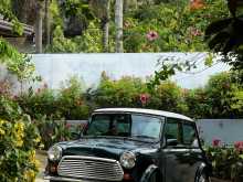 https://riyasewana.com/uploads/mini-morris-1960-1919444412384.jpg