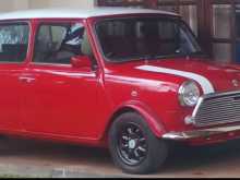 Mini Rover 2021 Car