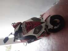 Minnelli Elite 2015 Motorbike