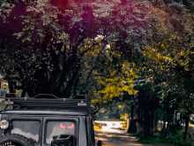 https://riyasewana.com/uploads/mitsubishi-4dr5-j-1979-2922462212104.jpg