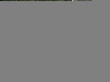 Mitsubishi Canter 1996 Lorry