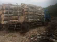 Mitsubishi Eitcher 1996 Lorry