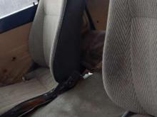 https://riyasewana.com/uploads/mitsubishi-l-300-5817276166.jpg