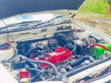 Photo 7