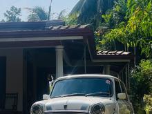 Morris Mini Cooper 1980 Car