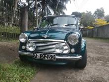 Morris Mini Cooper 1980 Car