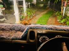 https://riyasewana.com/uploads/nissan-atlas-1993-76490412593.jpg