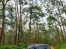 Nissan B310 1980 Car