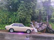 https://riyasewana.com/uploads/nissan-b310-1981-218385712142.jpg