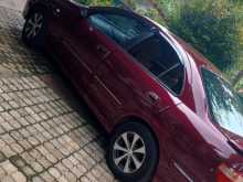 Nissan Bluebird Sylphy 2003 Car