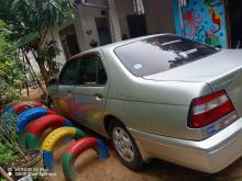 Nissan Bluebird 2000 Car