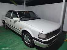 Nissan Bluebird 1985 Car