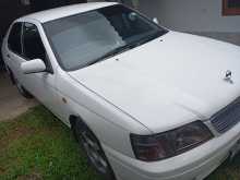 Nissan Bluebird 2002 Car