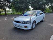 Nissan Bluebird 1999 Car