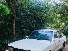 Nissan Bluebird 1982 Car