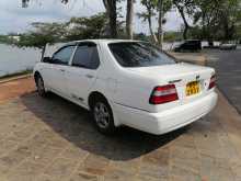https://riyasewana.com/uploads/nissan-bluebird-legrand-1998-2114223912444.jpg