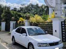 Nissan Bluebird Su14 1999 Car