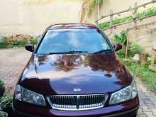 Nissan Bluebird Sylphy 2000 Car