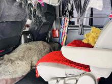 https://riyasewana.com/uploads/nissan-caravan-88204224164.jpg