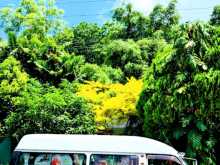 https://riyasewana.com/uploads/nissan-caravan-super-1998-719541712652.jpg