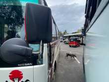 Nissan Civilian 1989 Bus