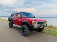 Nissan D21 1984 Pickup