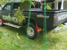 Nissan D21 1984 Pickup