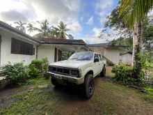 Nissan Datsun 1984 Pickup