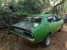 Nissan Datsun 1980 Car