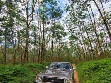 Nissan Datsun 1980 Car