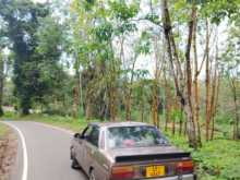 https://riyasewana.com/uploads/nissan-datsun-1980-150100912324.jpg