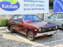 Nissan Datsun 1980 Car