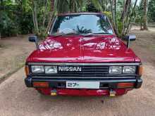 Nissan Datsun 1981 Pickup